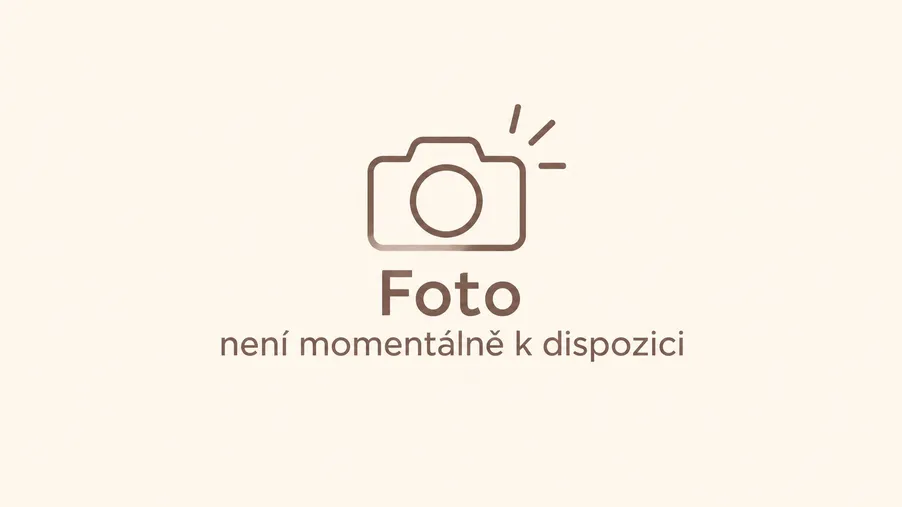 Smaženka s makovou náplní